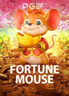 slotse ဘင်ဂိုကစားနည်း အဆင့်ဆင့်လမ်းညွှန်